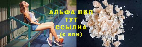тгк Абаза