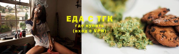 тгк Абаза