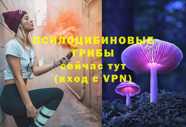 тгк Абаза