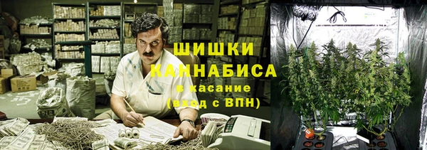 тгк Абаза