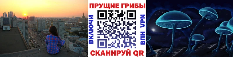 omg ТОР  Канск  дарк нет клад  Галлюциногенные грибы MAGIC MUSHROOMS 